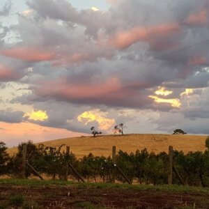 Harmony Row at Pastoria Valley Estate
