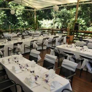 Cedar Park Rainforest Resort