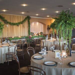 Olleyville at Shaw Vineyard