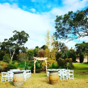 Littlewood Agapanthus Farm