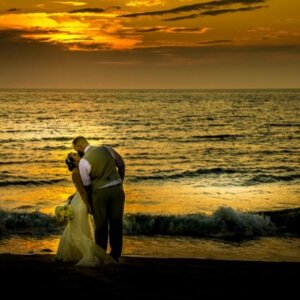 Niki D Photography