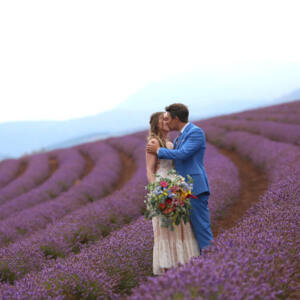 Linda Pasfield Photography