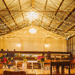 Redwing Farm