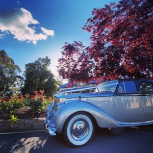 Macphersons Chauffeured Cars