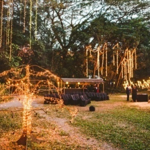 Flames of the forest