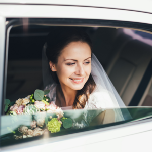 Leisure Coast Limousine Service