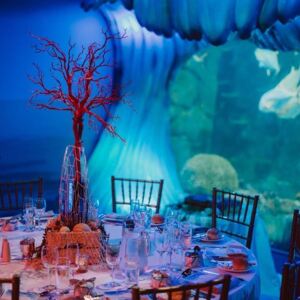 Sealife Sydney Aquarium