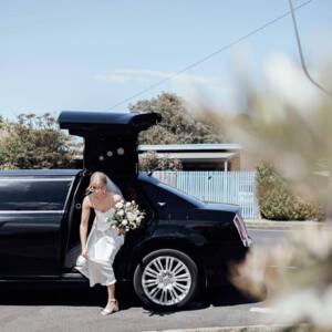 Night Owl Limousines