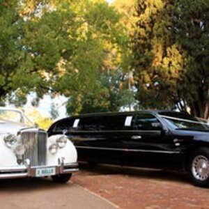 Belle Classic Limousines