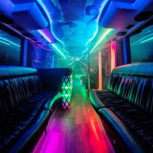 Diamond Lounge Limo Coach