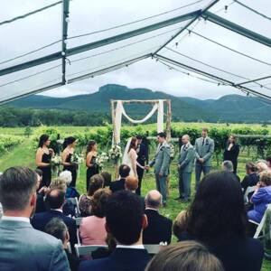 Mount Broke Wines