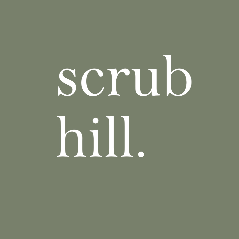 Scrub Hill 1869