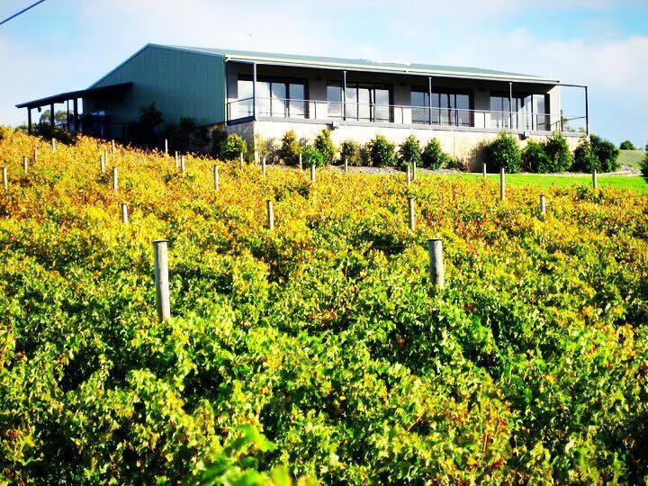 Traralgon Vineyard - Venue - Gippsland - Weddinghero.com.au