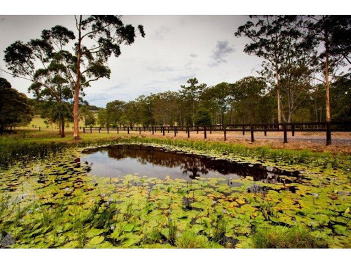 Regatta Park Weddings