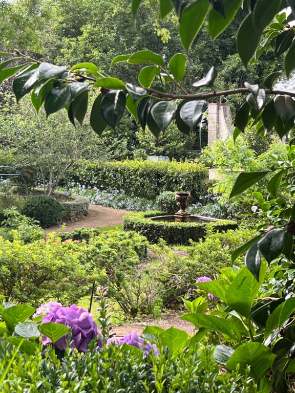Foxglove Spires Gardens