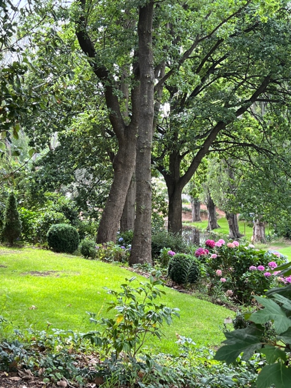 Foxglove Spires Gardens