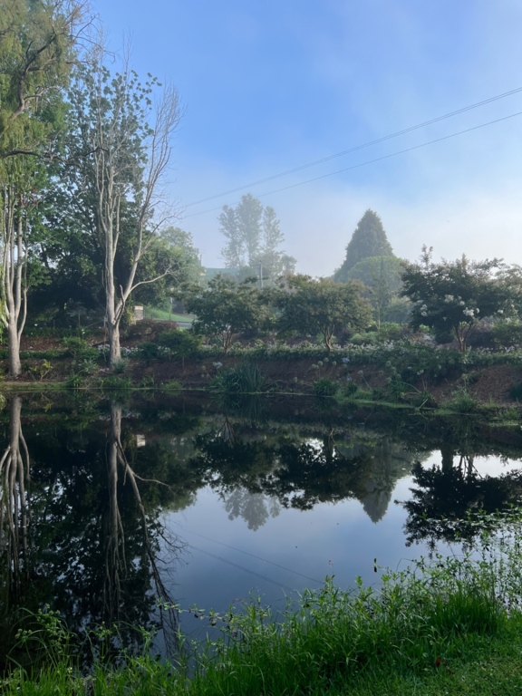 Foxglove Spires Gardens