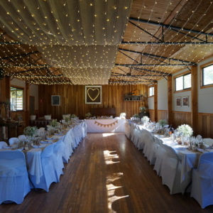 The Log Cabin Ranch