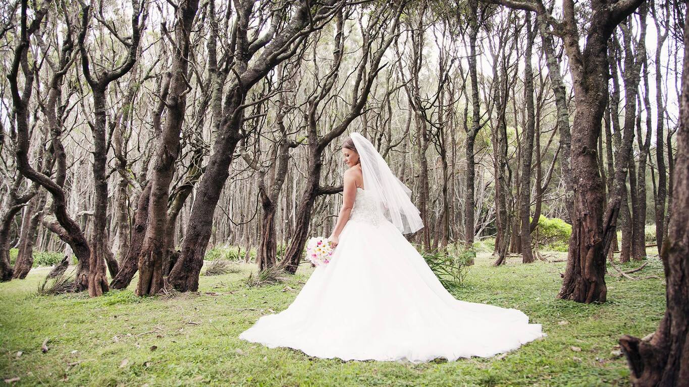 Murramarang Beachfront Holiday Resort