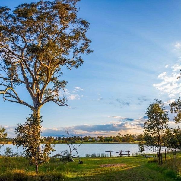 Western Suburbs League Club Campbelltown