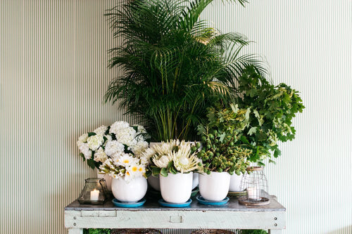 The Boathouse Shelly Beach