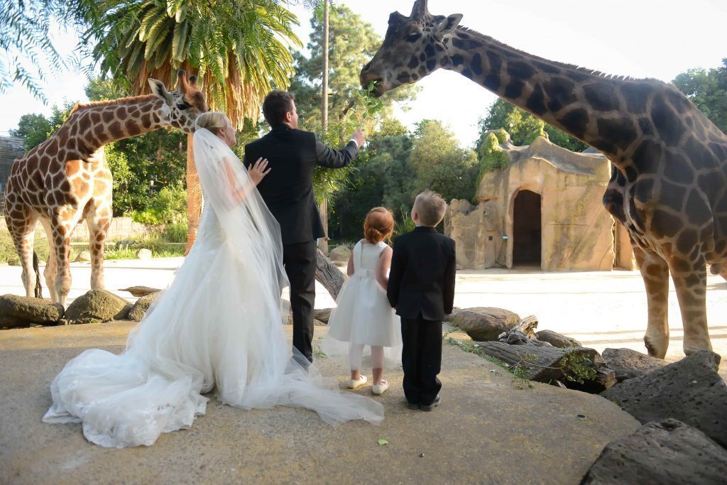 Werribee Open Range Zoo