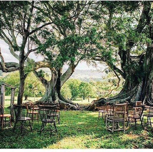 Byron Bay Magical Tooraloo Farmstay