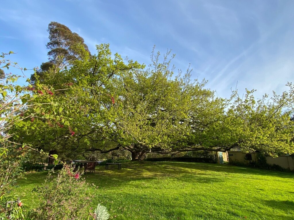 Kellybrook Winery and Restaurant
