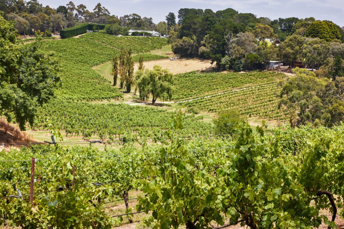 Kellybrook Winery and Restaurant