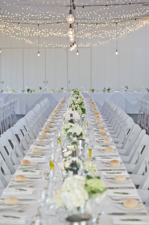 Sanctuary Adelaide Zoo