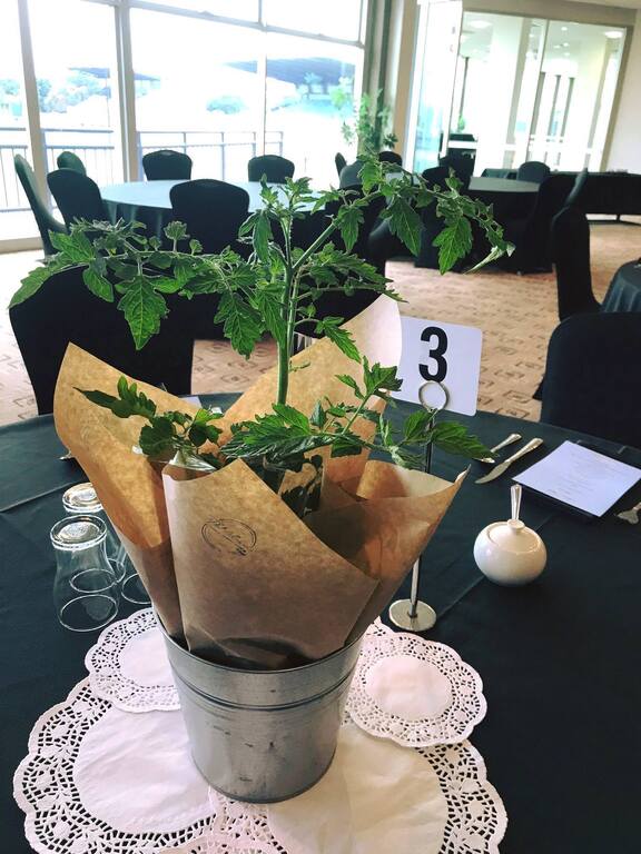 Eagles Function Centre