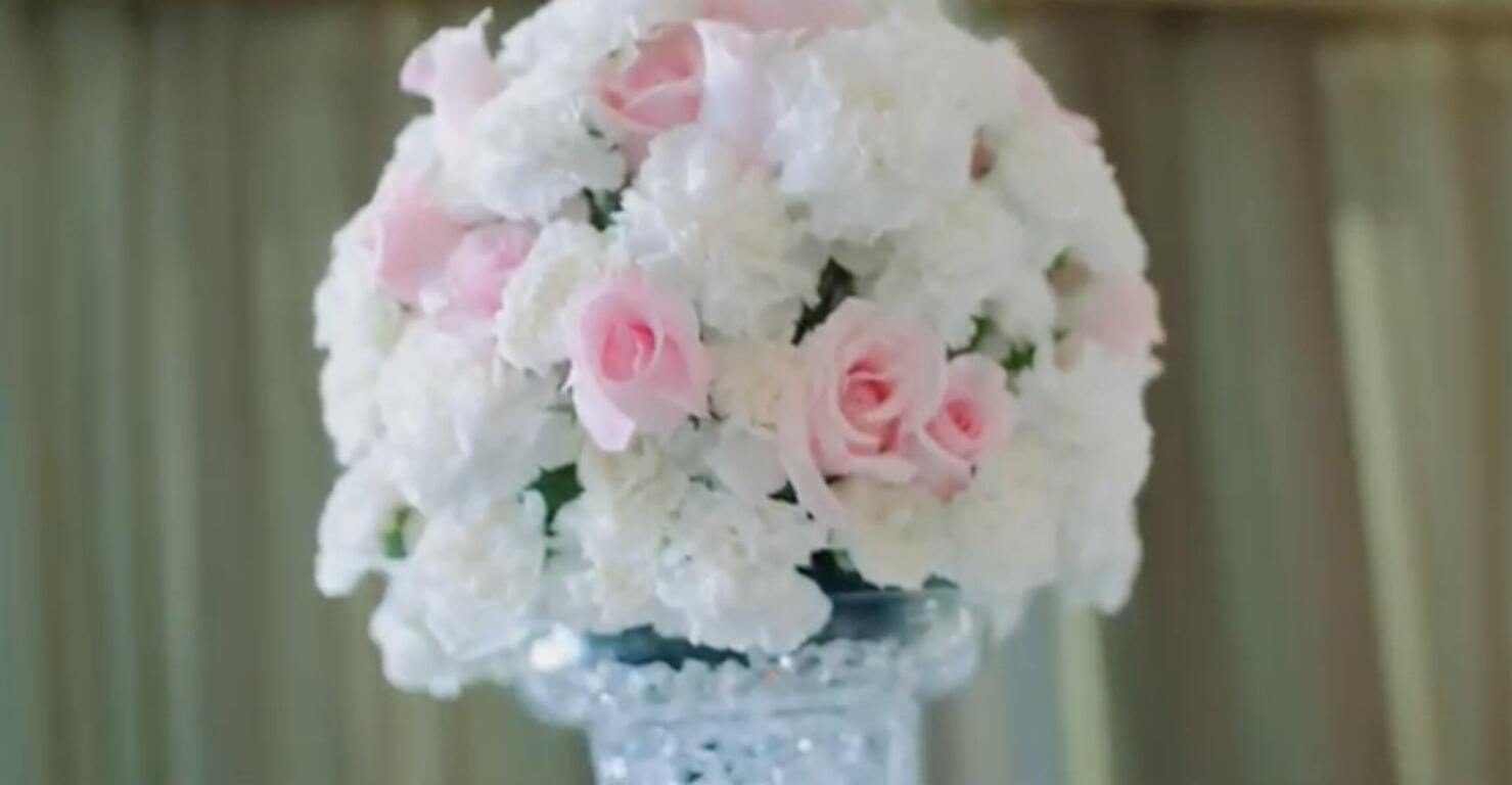 Crystal Swan Cruises