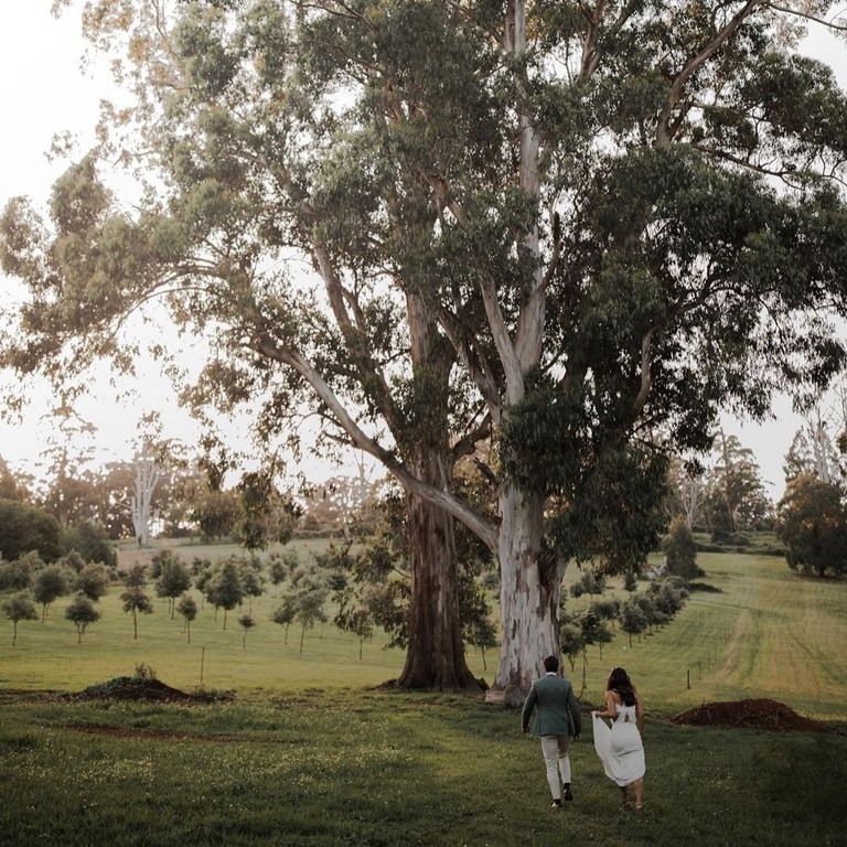Piggery Cafe Burnham Beeches