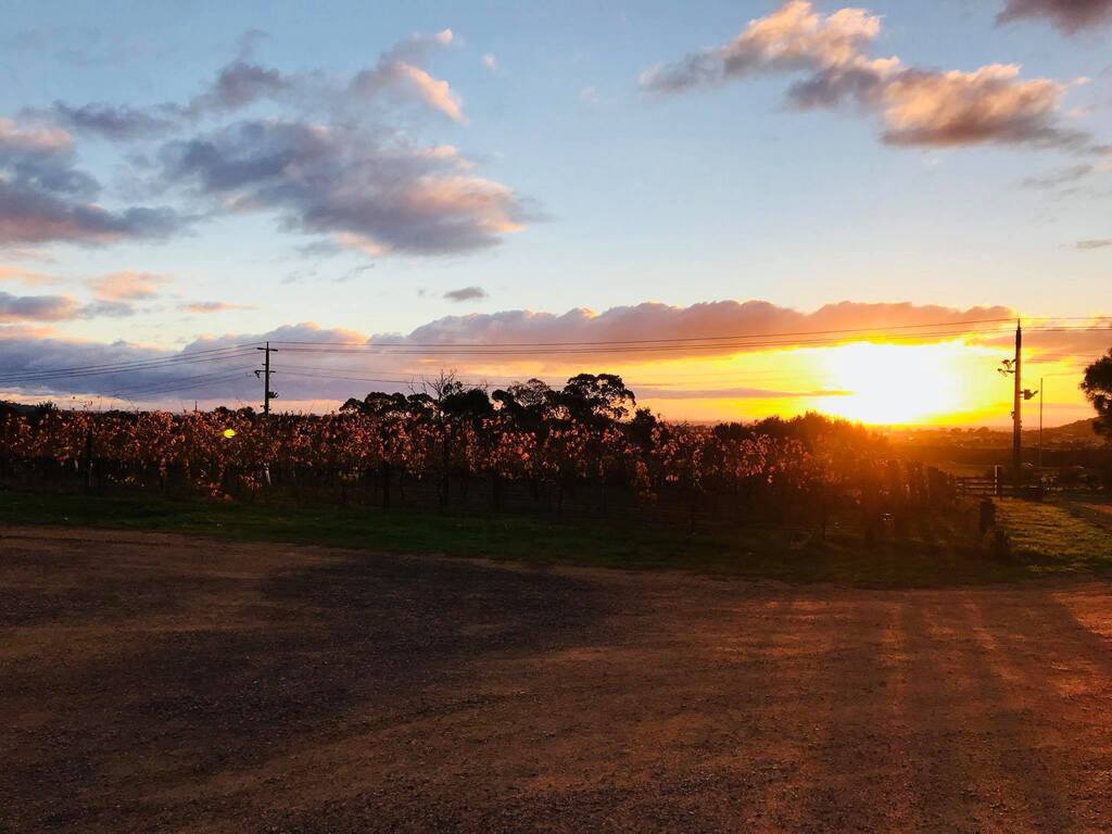 Bluestone Lane Winery