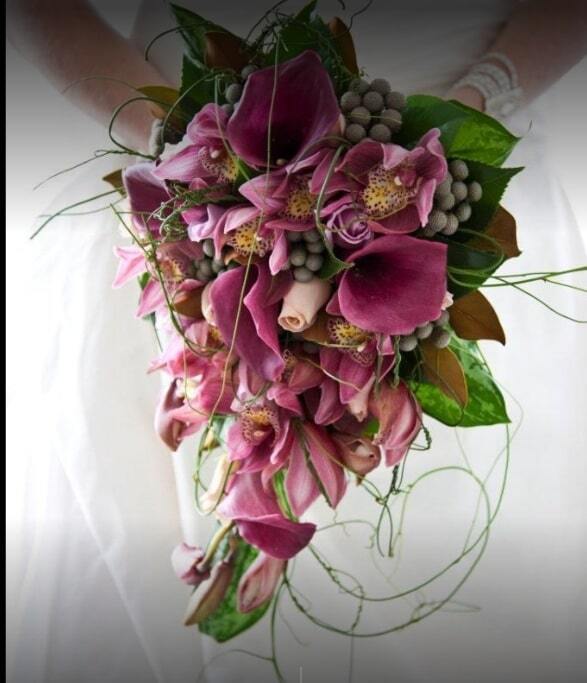 Mission Beach Destination Weddings