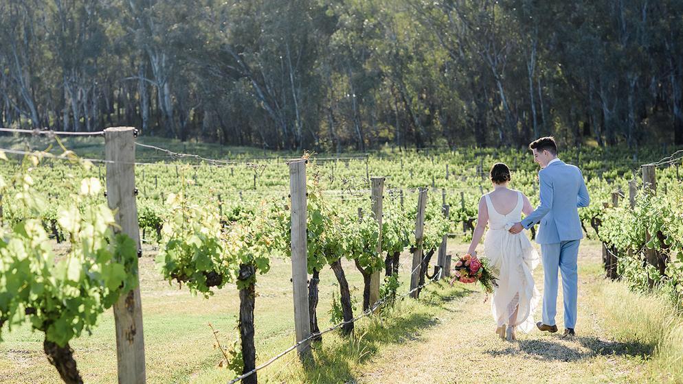 St Leonards Vineyard