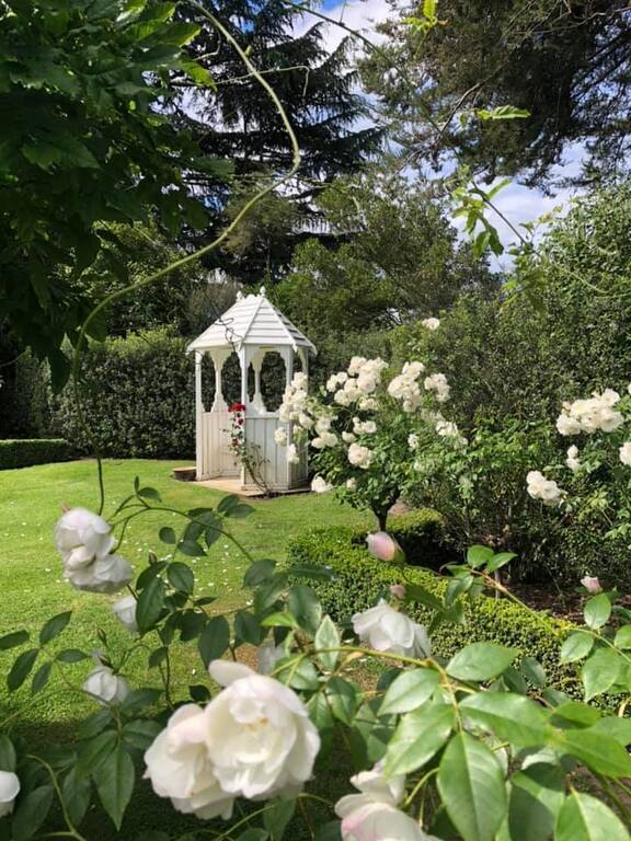 St Leonards Vineyard