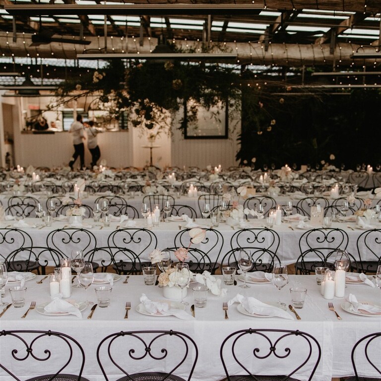 Fins at Plantation House