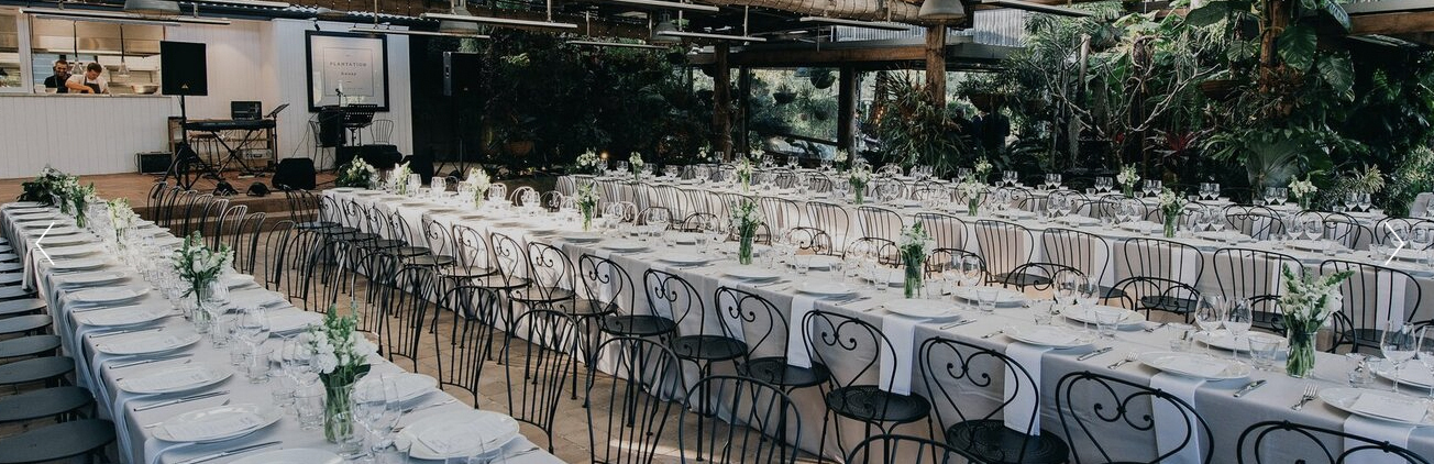 Fins at Plantation House