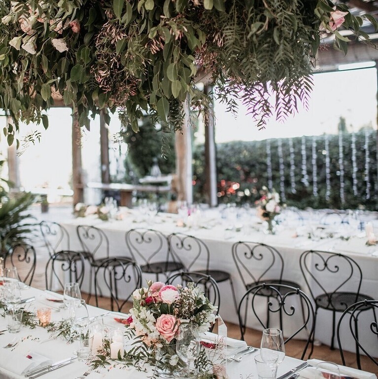 Fins at Plantation House