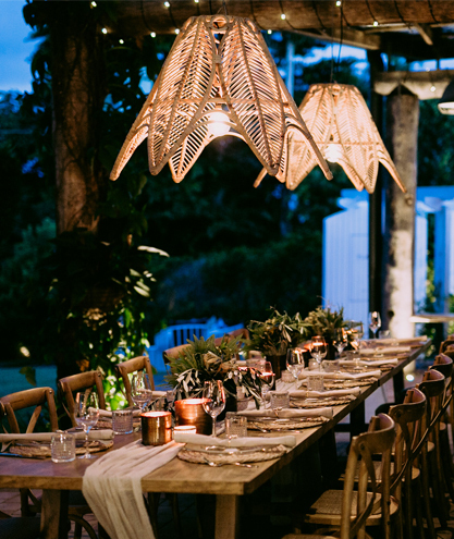 Fins at Plantation House