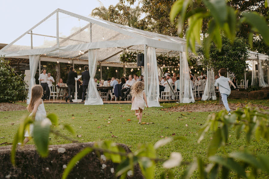 Fins at Plantation House