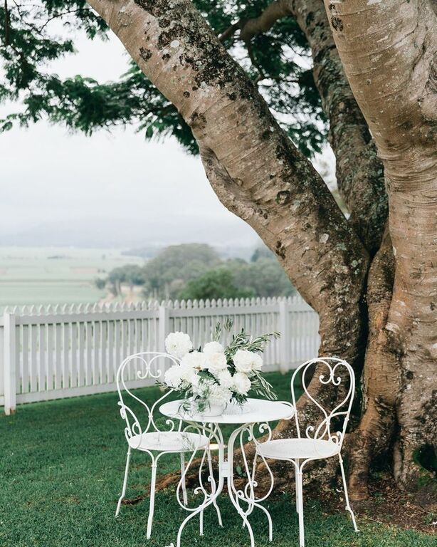 Fins at Plantation House