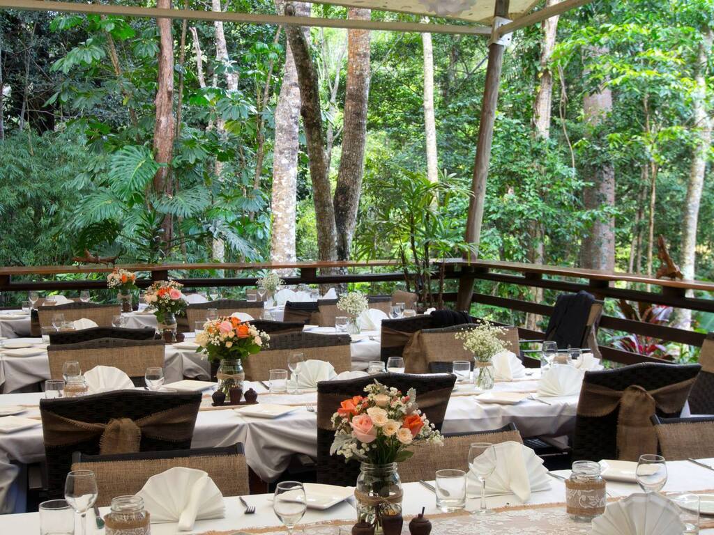 Cedar Park Rainforest Resort