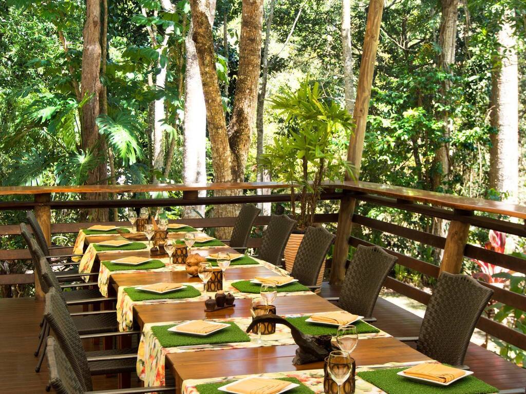 Cedar Park Rainforest Resort