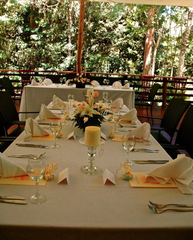 Cedar Park Rainforest Resort