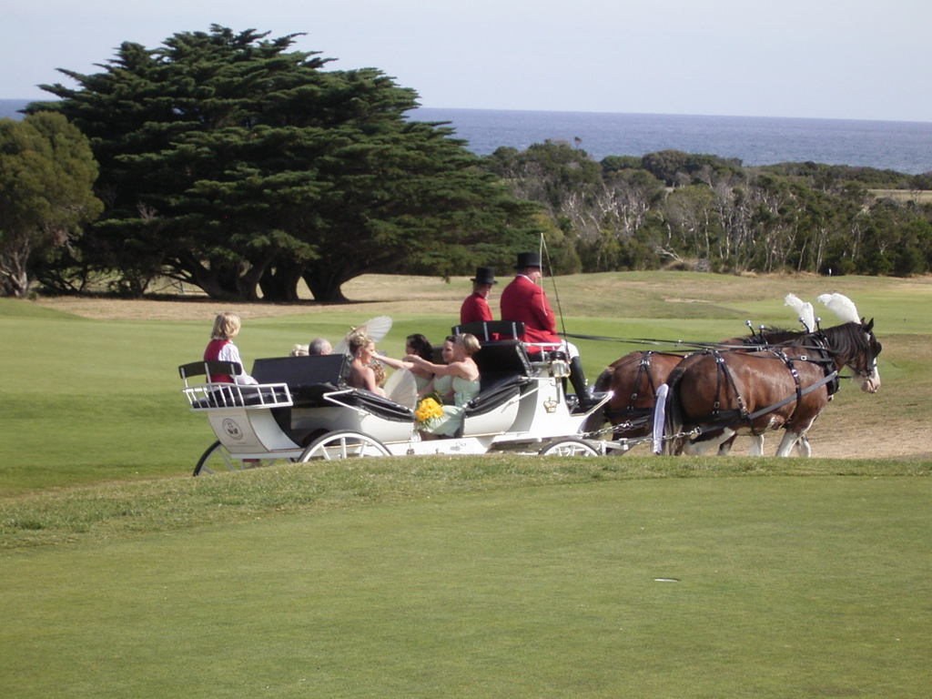 The Flinders Golf Club