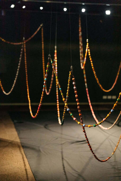 South Australian Museum