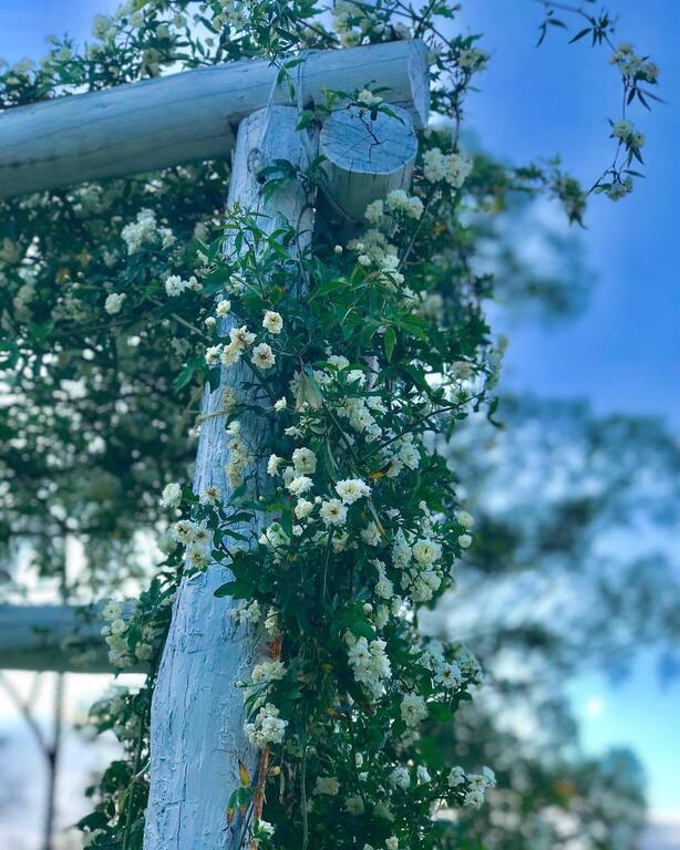 Tweeters Country Getaway