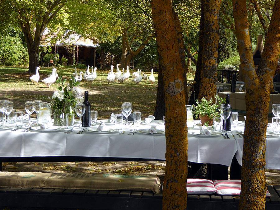 Lavandula Swiss Italian Farm